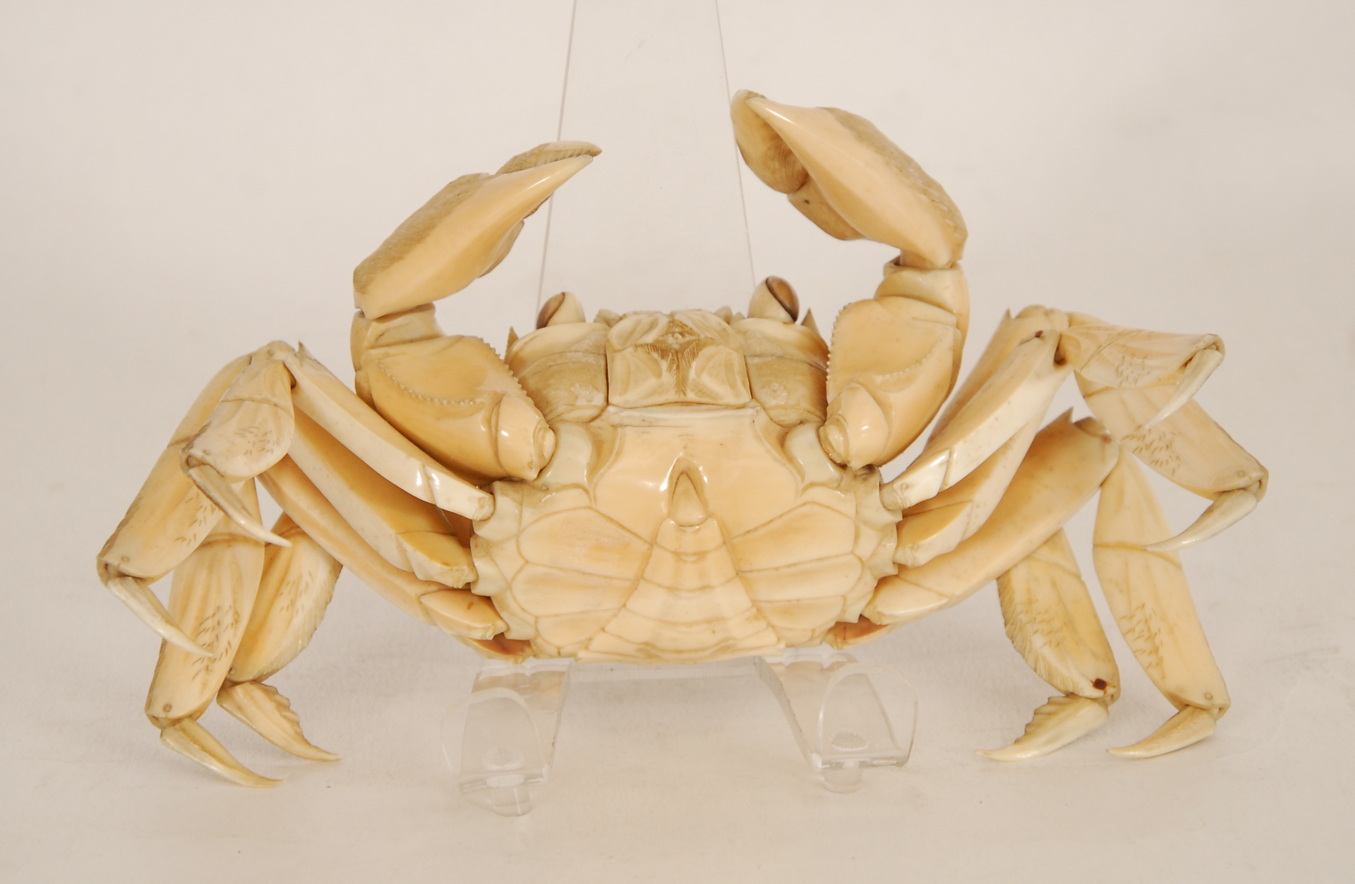 Crabe articulé 