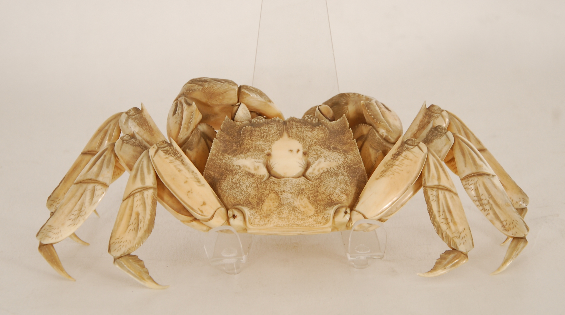 Crabe articulé 